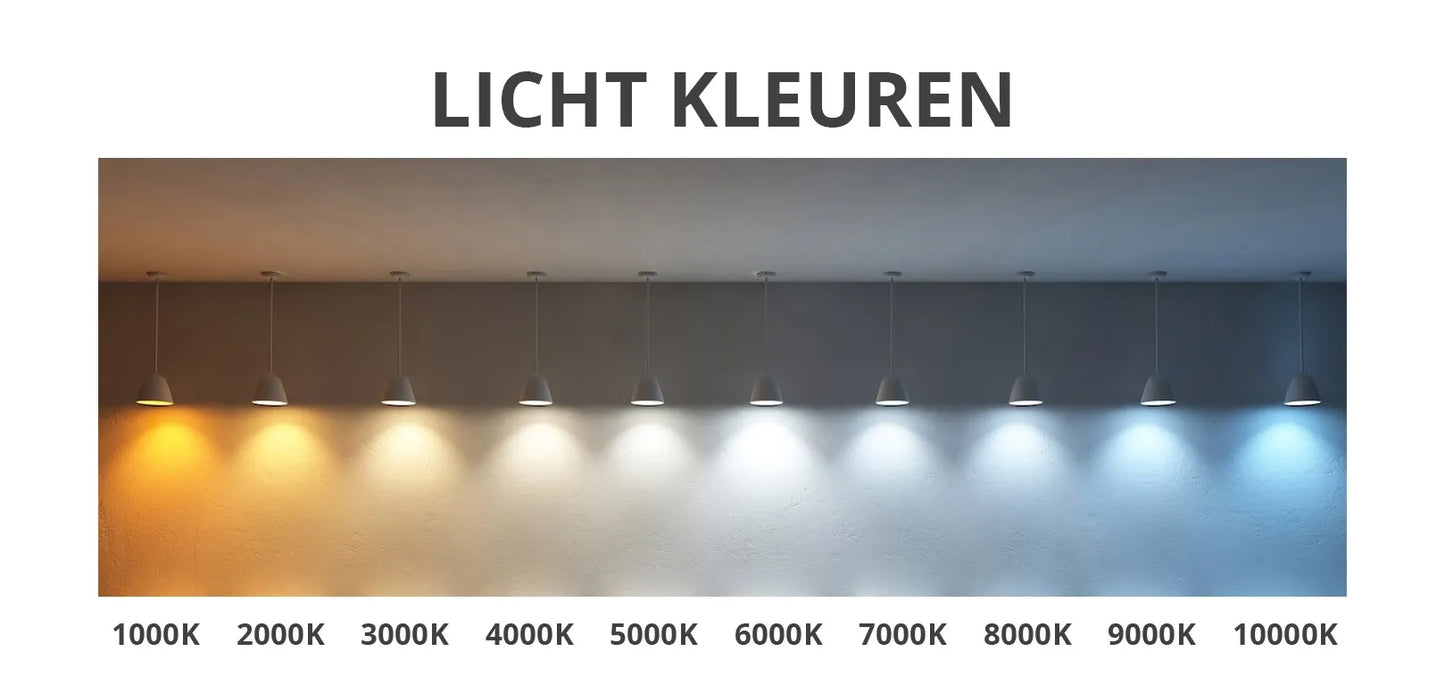 Miroir avec LED demi-ovale 50 x 100 cm