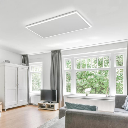 Panneau infrarouge QH-HL avec éclairage LED 63 x 108 cm - 700Watt