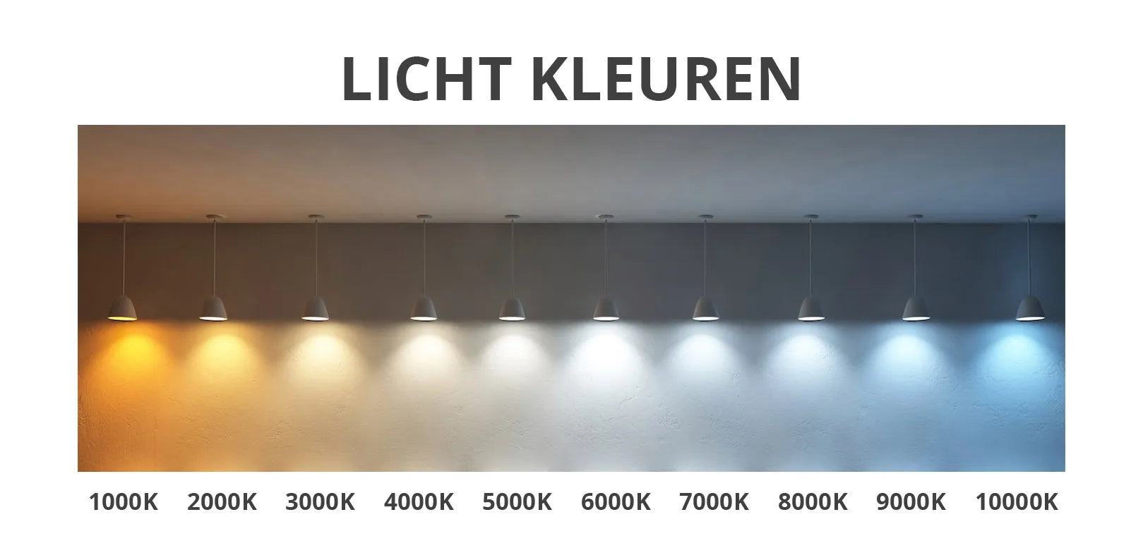 Miroir avec LED demi-ovale 50 x 100 cm