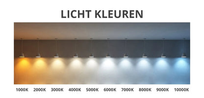 Miroir avec LED demi-ovale 50 x 100 cm